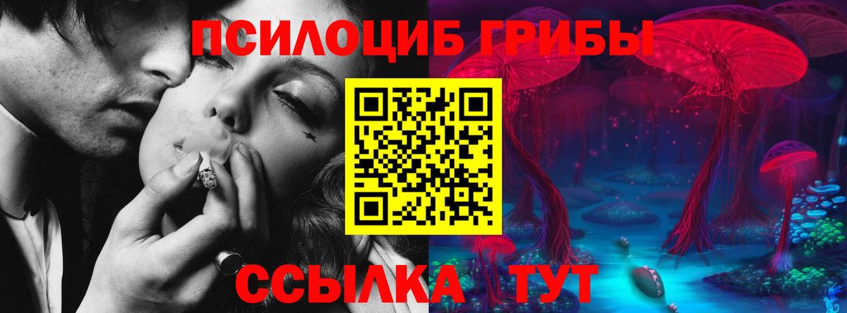 продажа наркотиков  Псилоцибиновые грибы Psilocybe  Галлюциногенные грибы Psilocybe  Вход с VPN  Сочи 